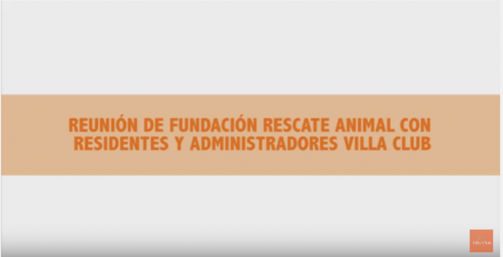 REUNIÓN DE FUNDACIÓN RESCATE ANIMAL CON RESIDENTES Y ADMINISTRADORES VILLA CLUB REUNIÓN DE FUNDACIÓN RESCATE ANIMAL CON RESIDENTES Y ADMINISTRADORES VILLA CLUB