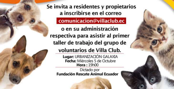 Convocatoria para voluntarios de Bienestar Animal en Villa Club Convocatoria para voluntarios de Bienestar Animal en Villa Club